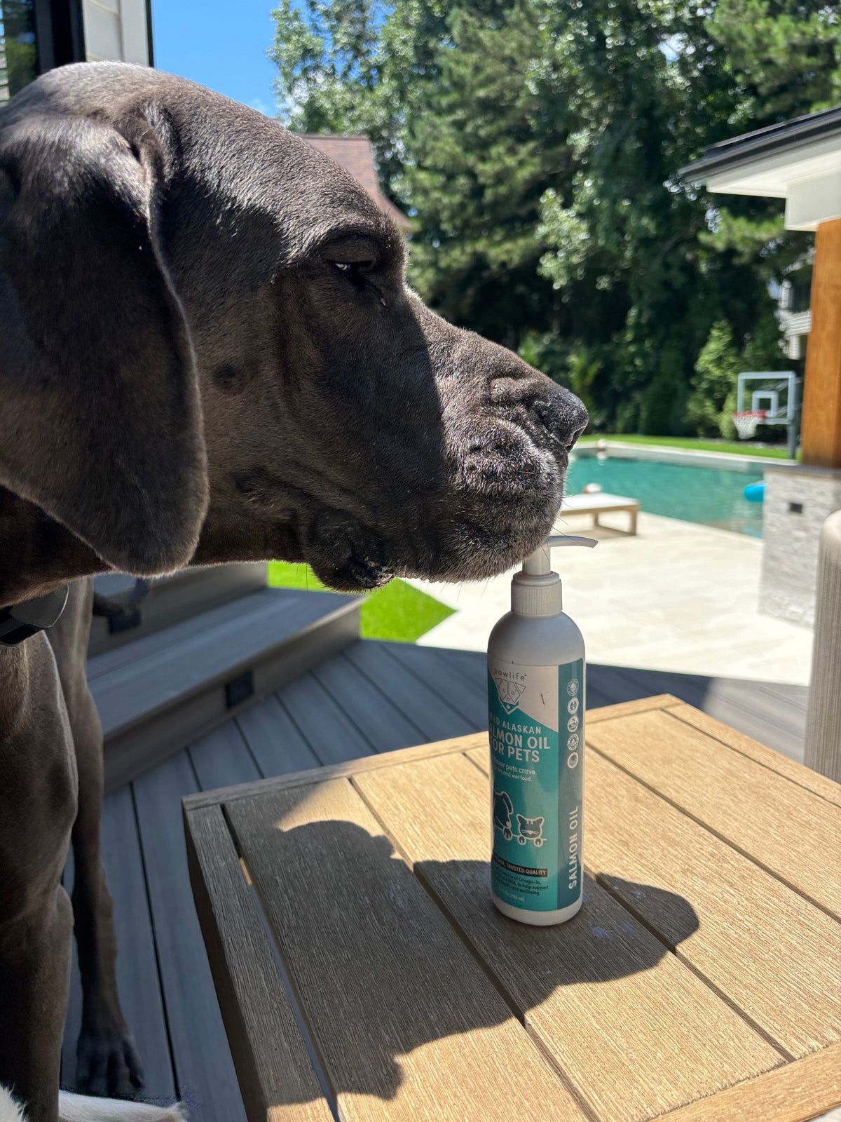 NEW PRODUCT ALERT: Pawlife's Wild Alaskan Fish Oil for Dogs & Cats