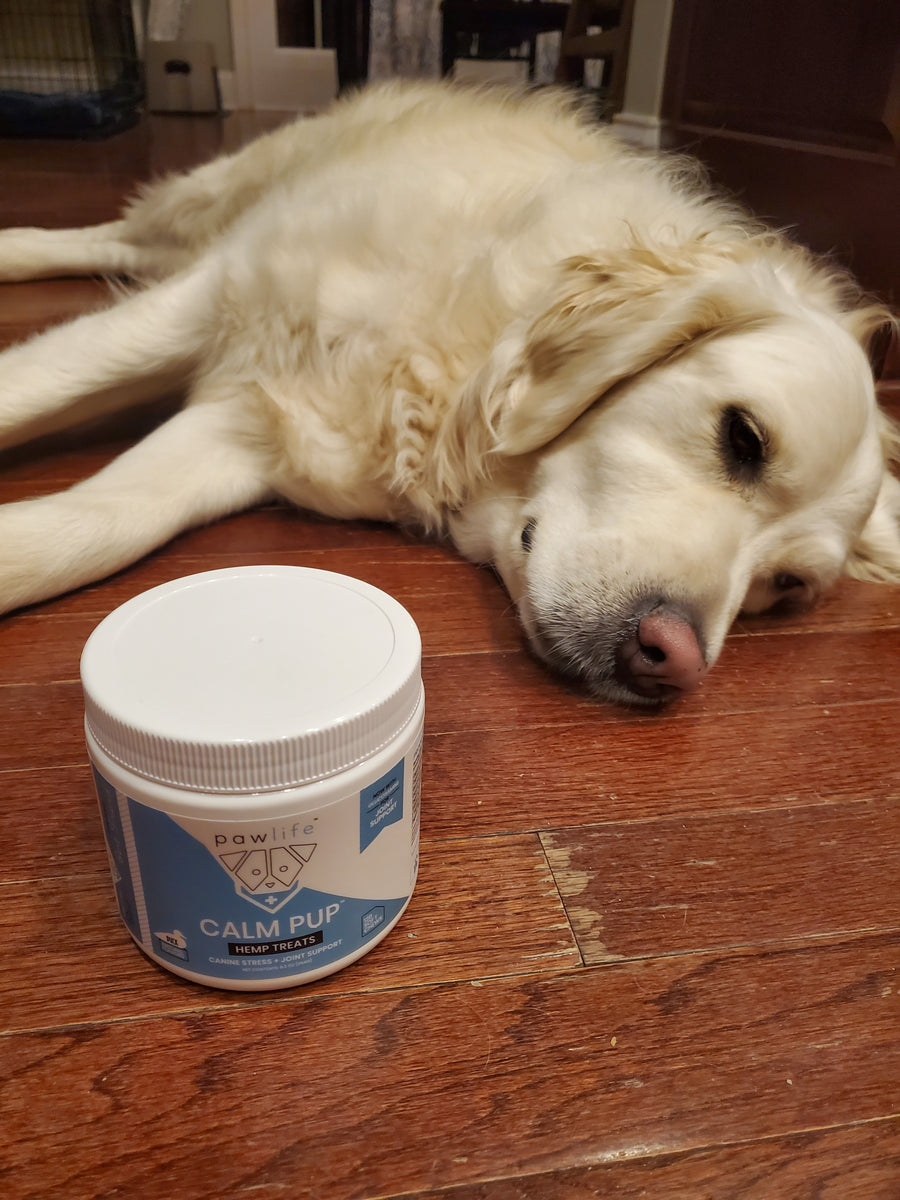 Supplements for a Happy, Healthy Pet
