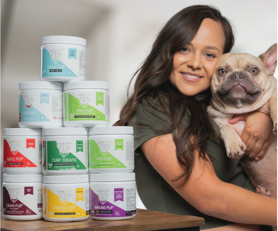 Celebrating National Dog Month: Fun Ways to Spoil Your Furry Friend