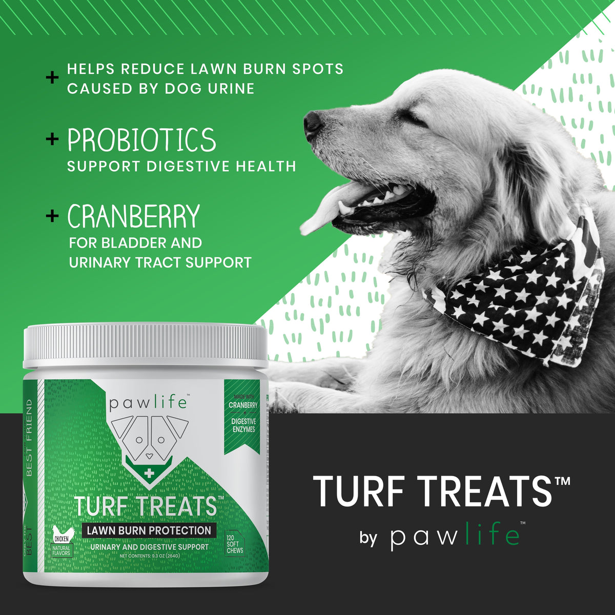 What are Turf Treats?