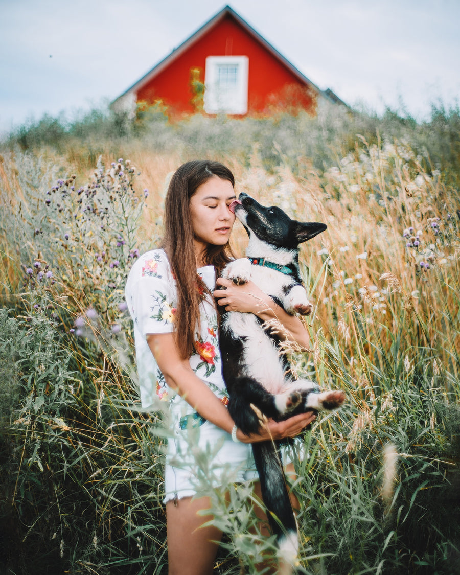 Things Your Pet Would Say If They Could Talk