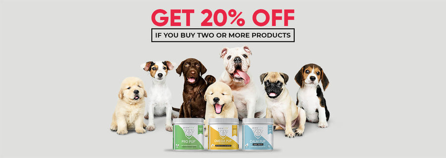 Pet SUpplement Sale, Pet Treat Sale, Pet Chew Sale, 20% Pet Chews, Pet Chew Sale 20% Off, Group of dogs with get 20% off