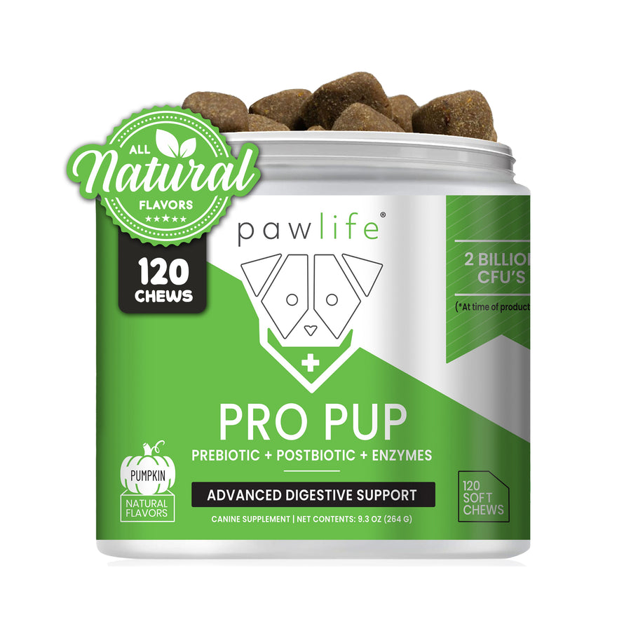 Pro Pup Pumpkin Flavor dog chews for digestive support with prebiotics, probiotics, and enzymes, 120 soft chews container.