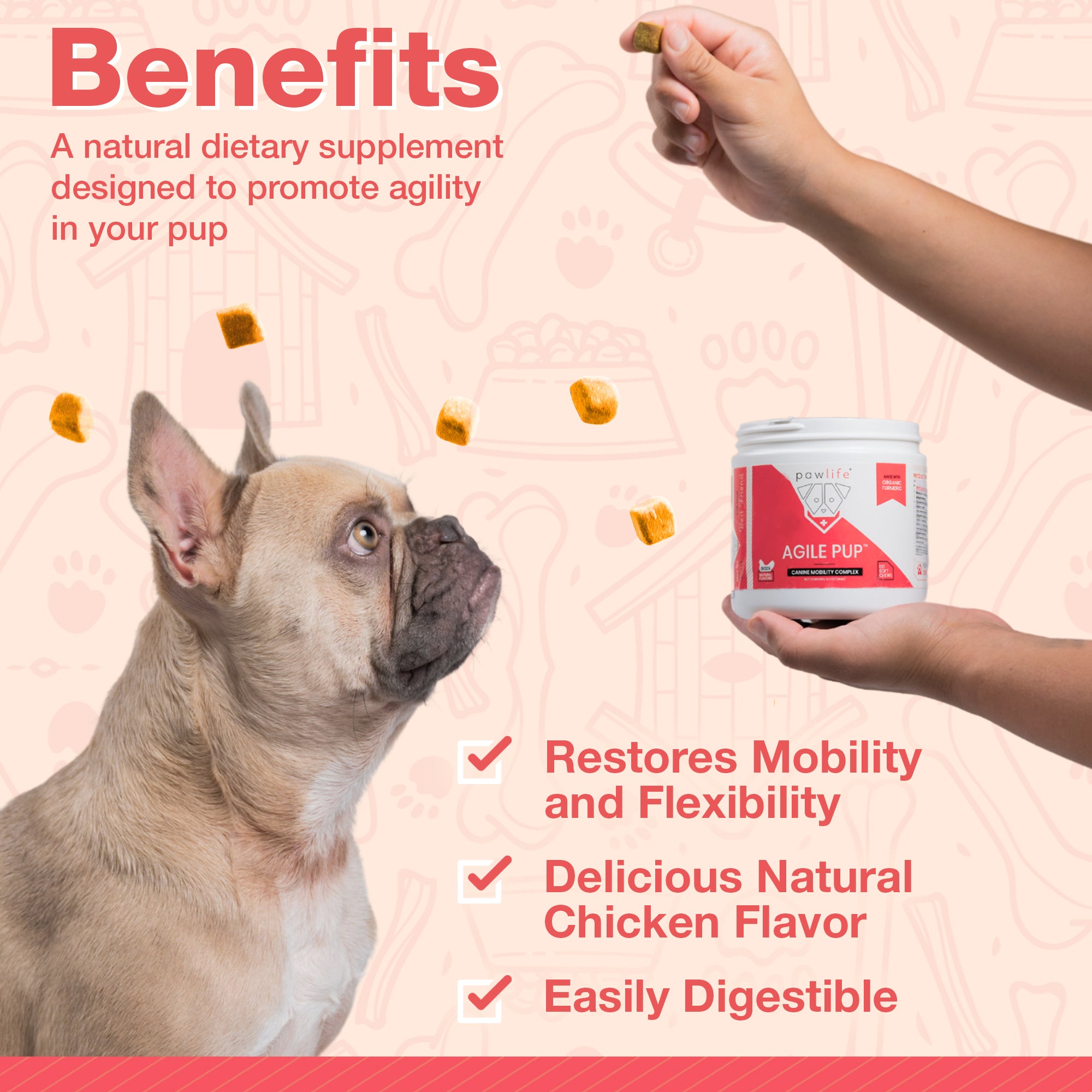 Agile Pup hip and joint support soft chews for dogs promoting mobility, flexibility, and natural chicken flavor.