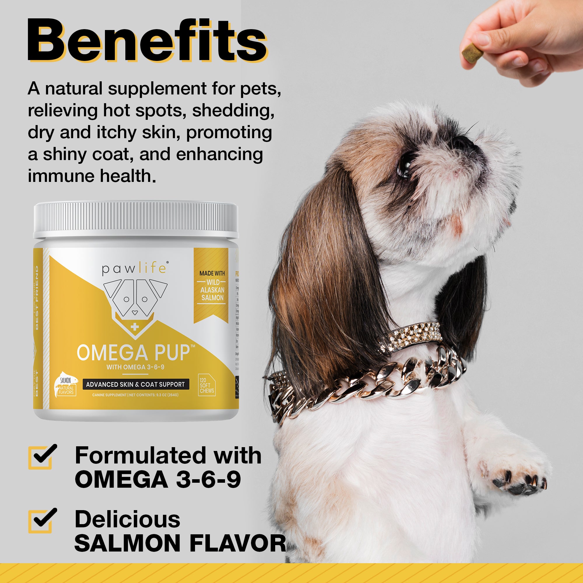 Omega Pup container of omega fatty acid soft chews with a dog reaching for a chew against gray background.