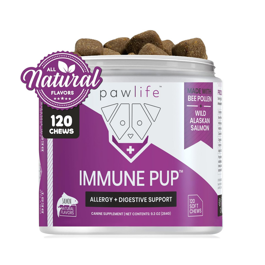 Immune Pup allergy and digestive support soft chews with bee pollen, wild salmon oil, probiotics, and colostrum for dogs.