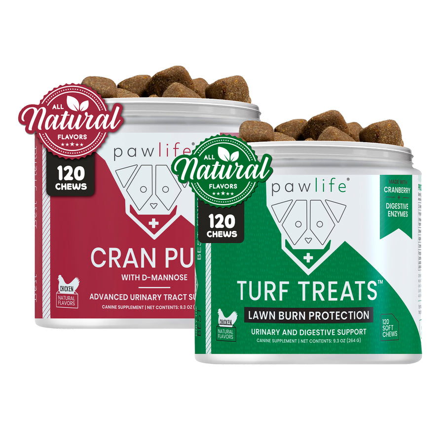 Fresh & Protected Duo – UTI + Lawn Burn Support with natural chews for urinary health and lawn protection.