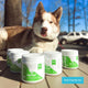 Siberian Husky with blue eyes lounging outdoors on a picnic table, surrounded by multiple containers of Pawlife Pro Pup digestive support supplements for dogs; natural lighting with blurred trucks and trees in the background, labeled as a real Pawlife pet, highlighting canine gut health, functional dog supplements, and customer trust in pet wellness products.