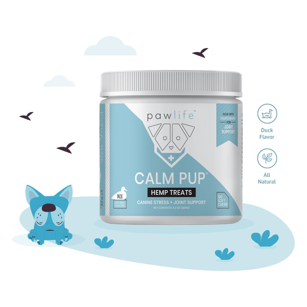 Pawlife Calm Pup for Dog Anxiety, Recognizing anxiety in your pets, Treat pet anxiety