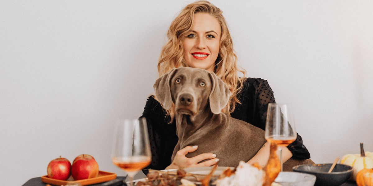 having your dog at thanksgiving table