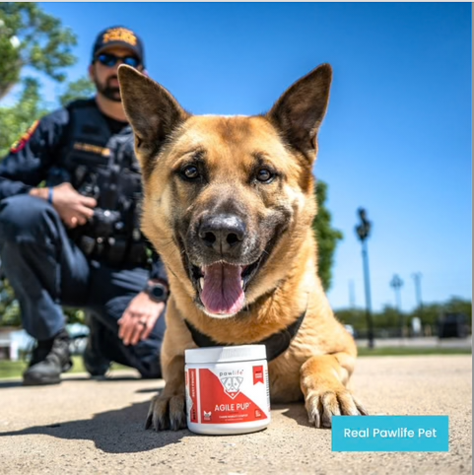 K9 Supplements, K9 Officer and K9 Dog with Pawlife Supplements, Pawlife k9 Supplements