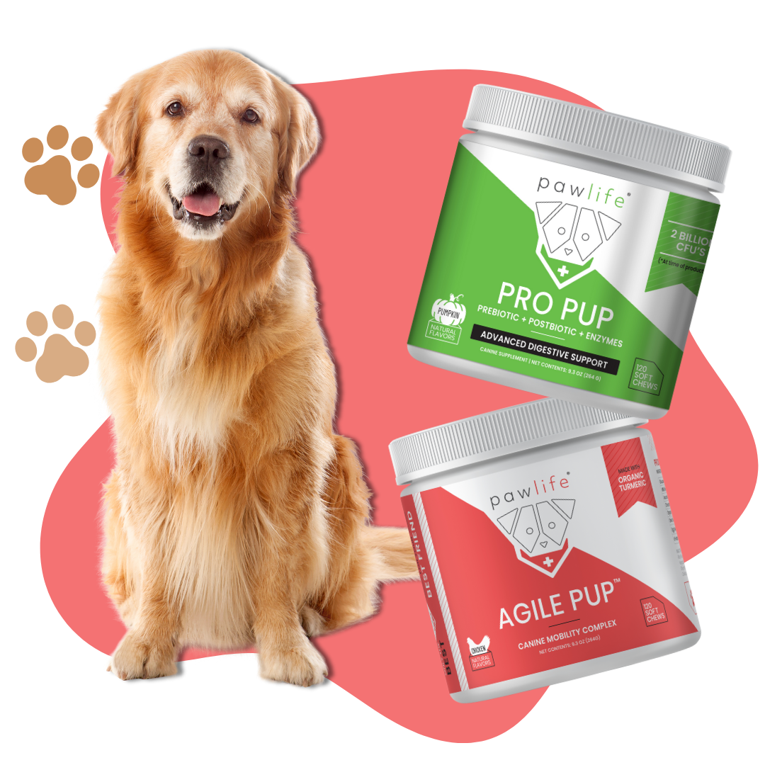Subscribe and Save on Dog Soft Chew Treats