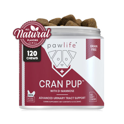 Cranberry dog Supplement, Cran Pup urinary support dog chews in a jar, grain-free with cranberry extract and D-mannose, Cranberry soft chews, Dog urinary tract support, Grain free cranberry soft chews for dogs