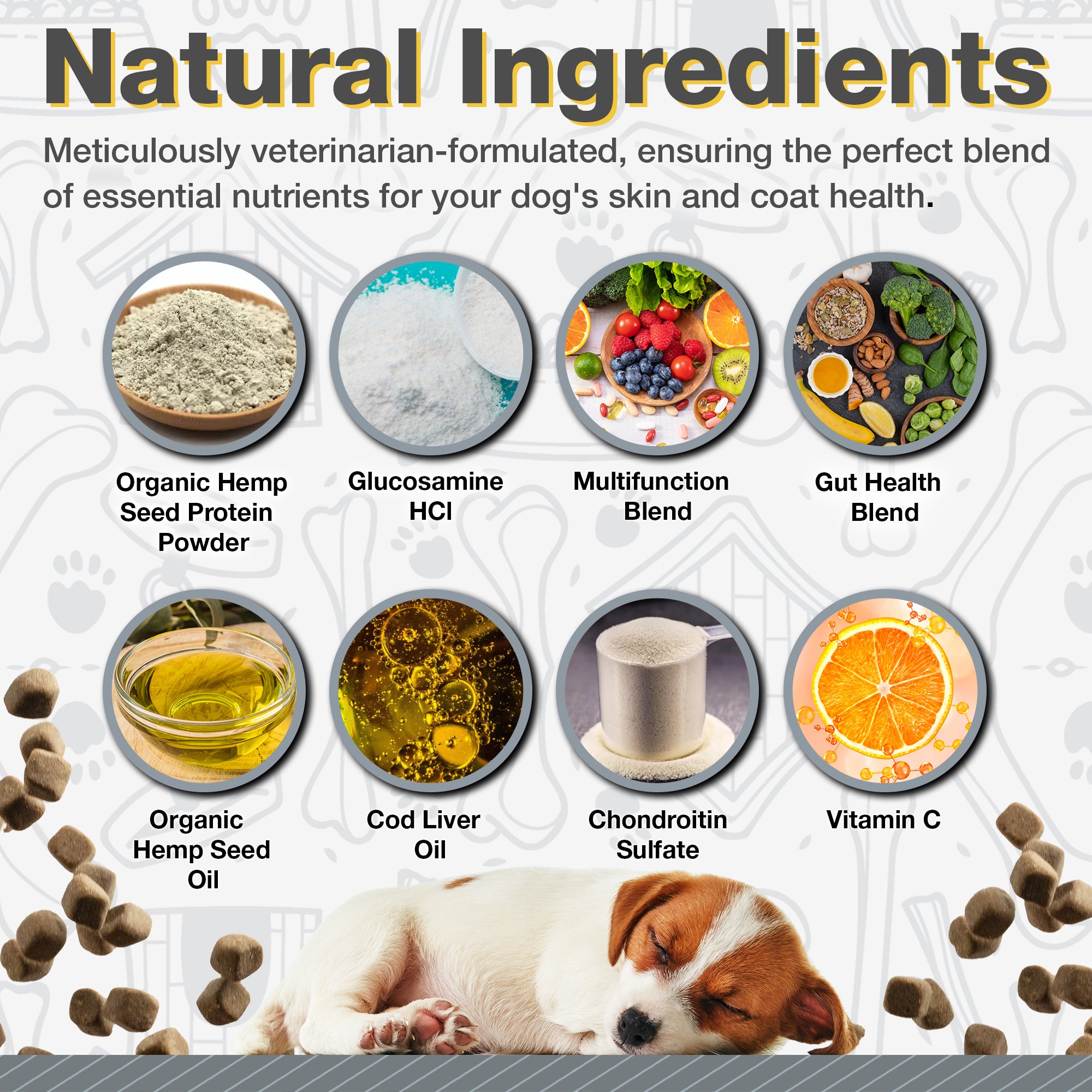Multi Pup - 5-in-1 Dog Multivitamin