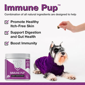 Immune Pup
