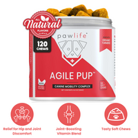 Pawlife Strong & Complete Duo – Mobility + Daily Nutrient Support Dog Soft Chew Bundle