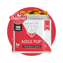 Load image into Gallery viewer, PawLife Wellness Duo – Total Comfort &amp; Vitality for Your Pup
