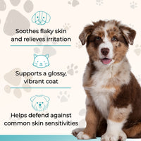 Wild Alaskan Salmon Oil - Omega 3, 6, 9 with EPA & DHA supports skin, coat, and immune health for pets.