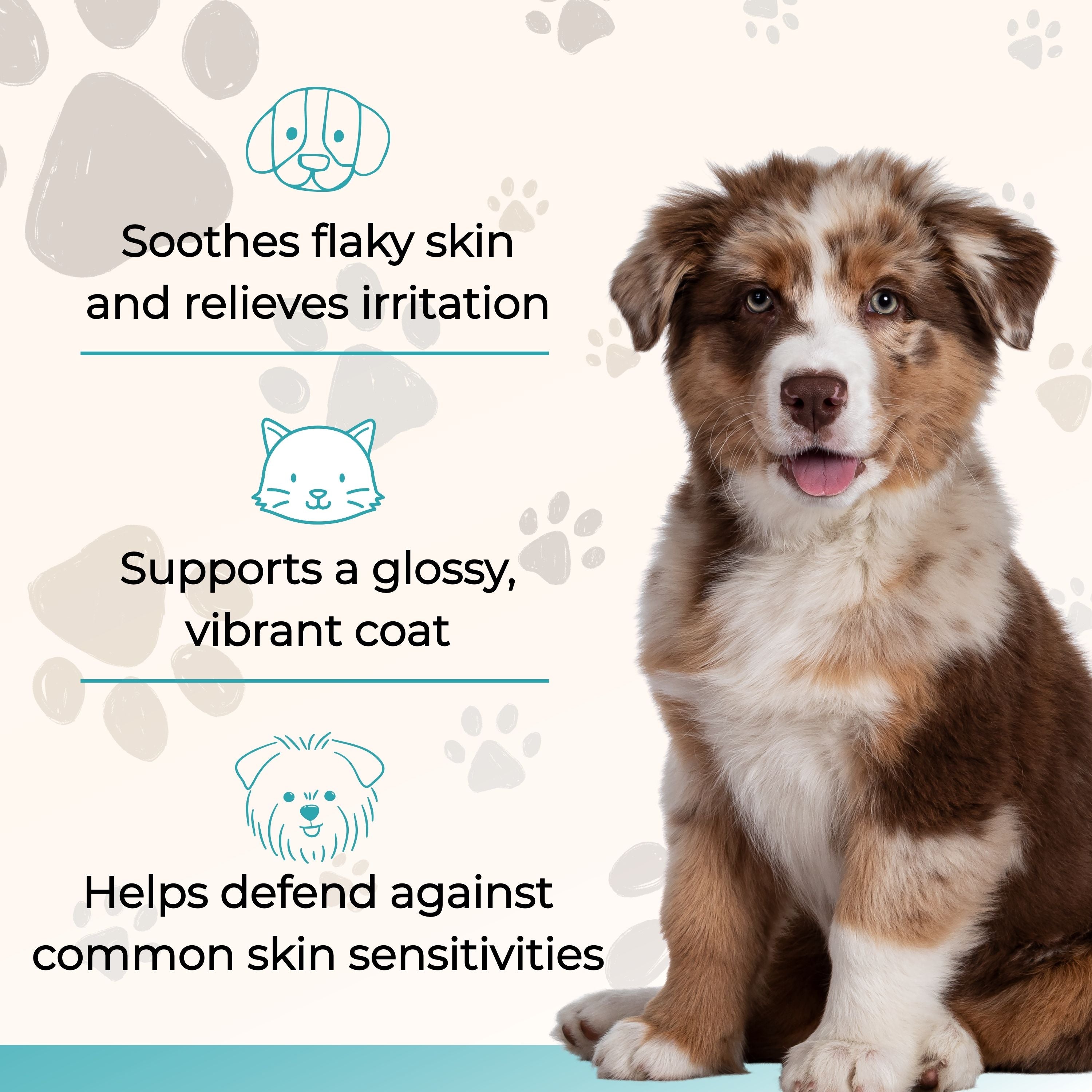 Wild Alaskan Salmon Oil - Omega 3, 6, 9 with EPA & DHA supports skin, coat, and immune health for pets.