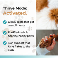 Wild Alaskan Salmon Oil - Omega 3, 6, 9 with EPA & DHA for glossy coats, strong nails, and healthy skin in pets.