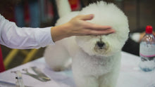 Load and play video in Gallery viewer, Pro Pup - Chicken Flavor
