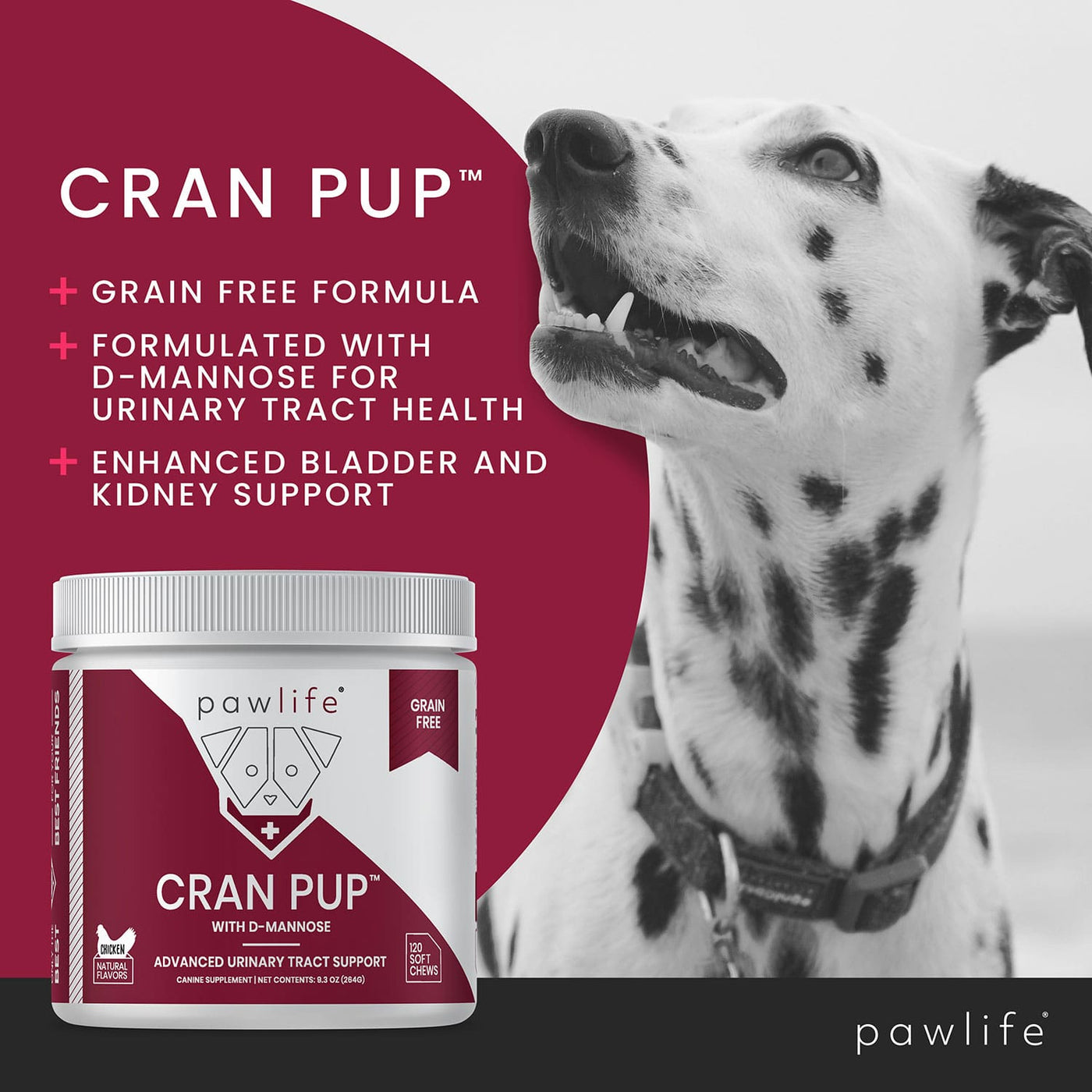 Pawfect Pindakaas voor de hond Veenbessen & Kaneel 450 gr Pawfect Pindakaas voor de hond Veenbessen & Kaneel 450 gr