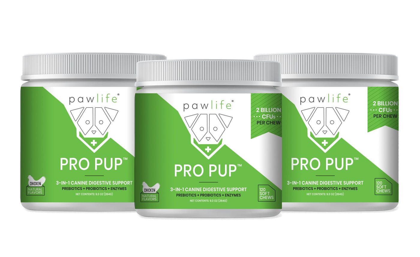 Three containers of Pawlife Pro Pup supplements displayed in a row against a white background. Each jar features a green and white label highlighting “3-in-1 Canine Digestive Support” with prebiotics, probiotics, and enzymes. The front of each container includes the Pawlife logo, “Chicken Natural Flavors,” and a “2 Billion CFUs per chew” badge. Each supplement jar contains 120 soft chews and has a white ribbed screw-on lid.